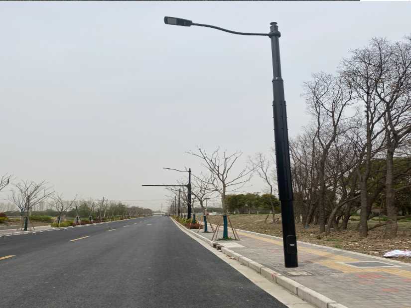 德阳市上海综合杆 太阳能路灯工程